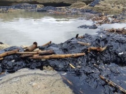 Тонны нефтепродуктов загрязнили побережье Израиля
