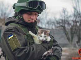 Военные, полицейские и спасатели снялись в фотосессии с бездомными животными в Днепре: классные фото