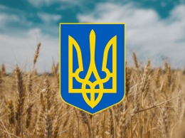 В Запорожье рассказали, когда украинцы впервые начали использовать трезубец, как герб