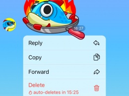 В Telegram появилась функция автоудаления сообщений