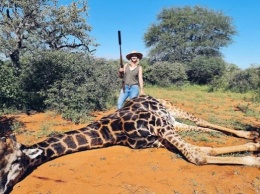 Охотница вырезала сердце жирафу и показала его в Сети