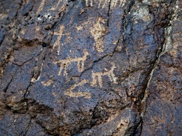 Обнаруженные в Иране древние петроглифы могут попасть в список Всемирного наследия ЮНЕСКО