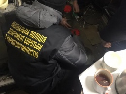 Хранил в фотомагазине. Николаевские полицейские изъяли полкило каннабиса у предпринимателя (ФОТО)