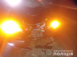 На запорожской трассе водитель насмерть сбил двух женщин