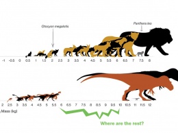 Доказана новая теория о превосходстве тираннозавра
