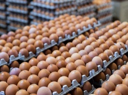 Производители яиц и мяса птицы договорились о сдерживании цен