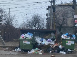 Покупайте контейнер: жителям Фонтанки поменяли условия вывоза мусора