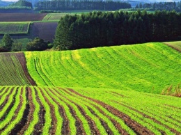 Кабмин установил новые формы хозяйствования для сельскохозяйственных кооперативов