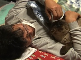 Мужчина остался в зараженной зоне Фукусимы, чтобы кормить котов (ВИДЕО)