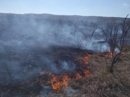 Пожарные час тушили загоревшееся в Симферопольском районе поле