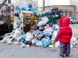 Горы мусора и неприятный запах: за новым ТЦ на Бородинском устроили свалку