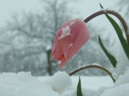 Дождь и снег: какой будет погода в Харькове 8 марта