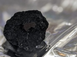 В Англии нашли остаток редчайшего метеорита. Ученые рассказали, почему это важно (ФОТО)