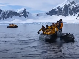 В Антарктиде пингвин спасся от касатки в лодке с туристами (ВИДЕО)
