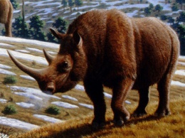 Вымерший вид: под Одессой нашли останки доисторического животного
