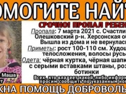 К розыску пропавшей Маши Борисовой подключаются поисковики Днепропетровщины