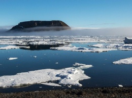 ФСИН планирует отправлять заключенных на уборку Арктики