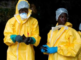 В ВОЗ назвали причину новой вспышки вируса Эбола в Африке