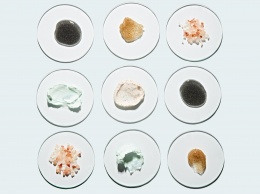 6 необычных ингредиентов для ухода за кожей, которые стоит попробовать