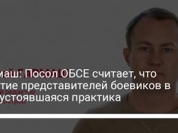 Гармаш: Посол ОБСЕ считает, что участие представителей боевиков в ТКГ устоявшаяся практика