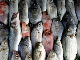 В 40% случаев в ресторанах и супермаркетах по всему миру продают фальсифицированные морепродукты