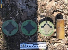 В Луганской области выявили мины российского производства