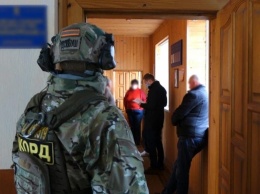 В лесхозах Прикарпатья прошли обыски из-за незаконной рубки