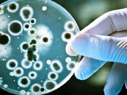 На МКС "завелись" неизвестные науке микробы