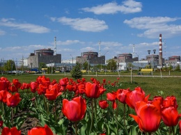 Запорожскую АЭС проверяют инспекторы Международного агентства по атомной энергии