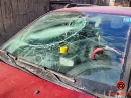 В Днепре кот с 6 этажа упал на Citroen и разбил лобовое стекло: подробности и кто должен нести ответственность