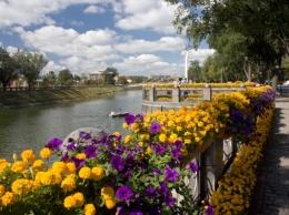 Харьковские дворы засадят цветами