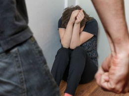 Житель Кременчуга наказан за совершение домашнего насилия в отношении бывшей жены