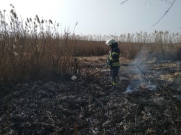 В Киевской области за выходные выгорело 330 гектаров