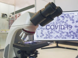 Отчет ВОЗ: Наиболее вероятный источник возникновения COVID-19 - животные, а не лаборатория - AP