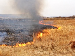 За сутки в результате пожаров на открытой территории огнем уничтожено 110 га сухой растительности!