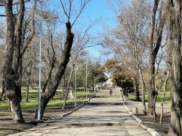 Дюковский парк в Одессе будут восстанавливать поэтапно. Фото, видео