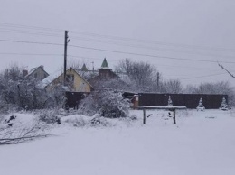 Новый год не за горами! В Днепре украли елочку!