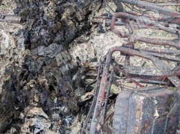 Под Днепром нашли сгоревшую машину с человеческими останками