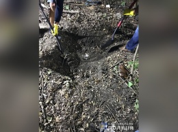 В Днепропетровской области женщина убила знакомого молотком и закопала его труп в лесу