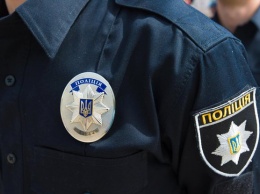 Во Львове полицейские остановили автомобиль с неожиданным водителем