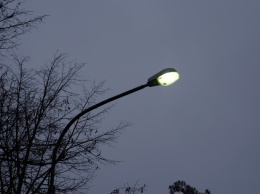 В харьковском парке вандалы украли фонарные столбы