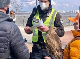 Спасли пернатых: активисты и полиция задержали фотографов с птицами