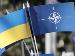 Литва предложит НАТО предоставить Украине план действий по членству