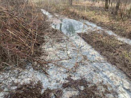 Экологи бьют тревогу: в Харькове в реку вылили неизвестное вещество (фото)