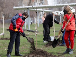 «Связь поколений»: в Днепре горожане всех возрастов объединились, чтобы высадить деревья для нового сквера