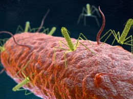 Ученые извлекают белковые наномашины из бактерий