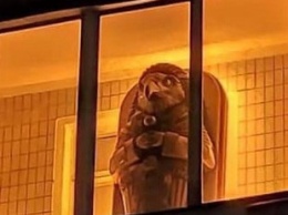 "Надеюсь, внутри пусто": в Киеве на балконе заметили древнеегипетский саркофаг