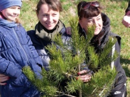 В Житомире высадили 1000 деревьев