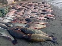 В Запорожской области браконьер выловил из водохранилища 80 килограммов рыбы