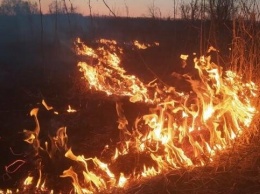 На Харьковщине из-за выжигания сухостоя спасатели тушили почти шесть десятков пожаров, - ФОТО